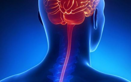 Meningite: Conhecendo a doença meningites 436x272 - Meningite: Conhecendo a doença